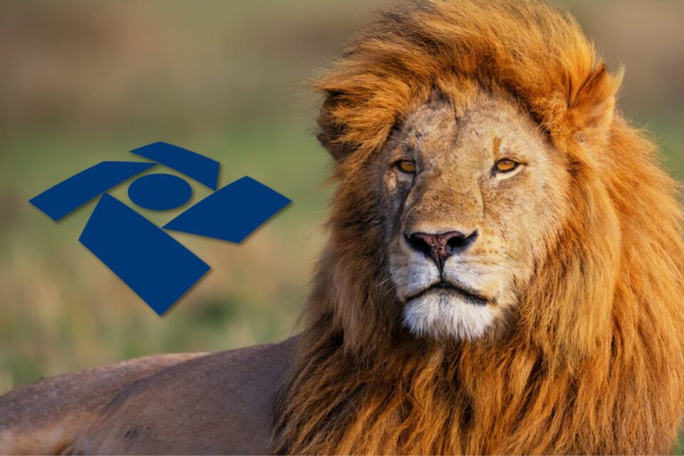 Imagem mostra Leão e o símbolo da Receita Federal do Brasil.